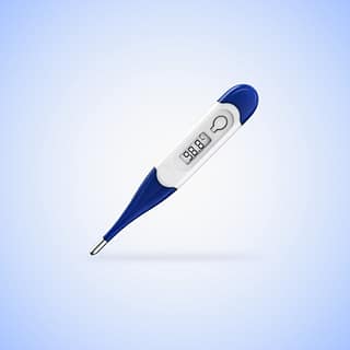 NTI Digital Thermometer